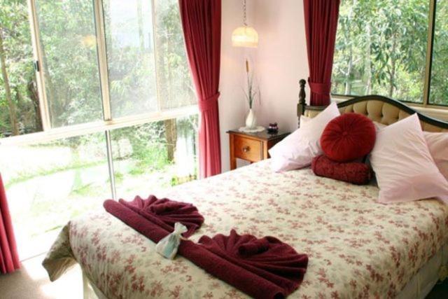 לינה וארוחת בוקר גולד קוסט Hillside Country Retreat חדר תמונה