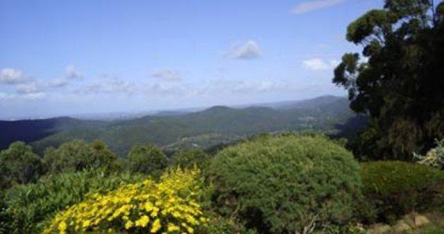 לינה וארוחת בוקר גולד קוסט Hillside Country Retreat מראה חיצוני תמונה
